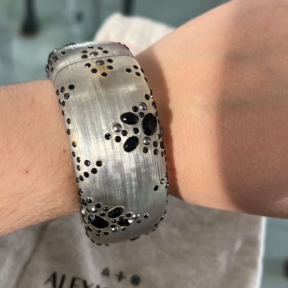 Alexis Bittar Lucite Large Hinged Bracelet - Picture 2 of 5